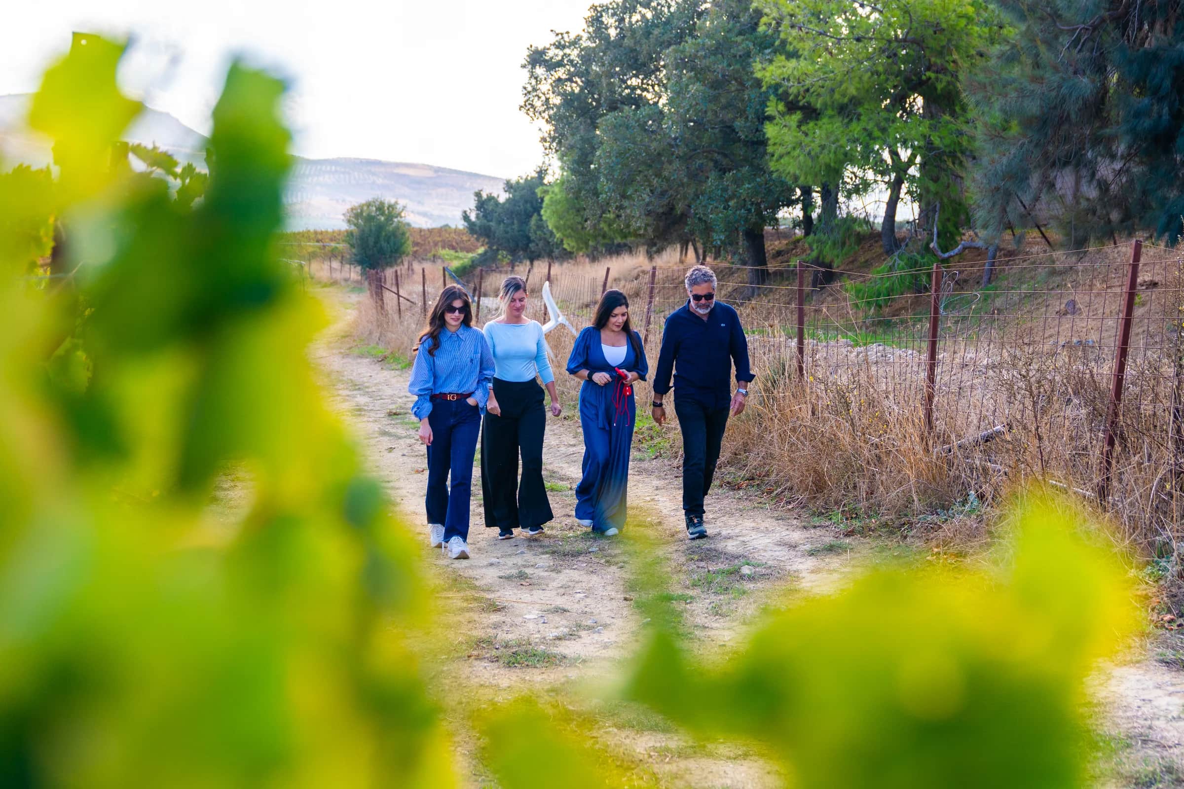 Petradias Collection: A Journey Through Indigenous Cretan Varieties