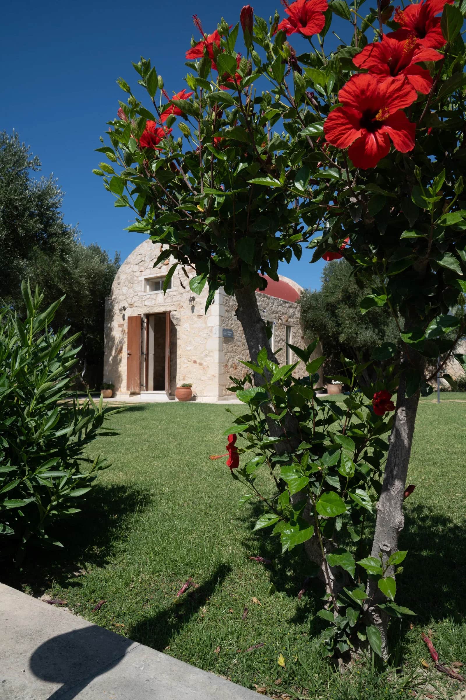 Premium Wine Tasting with 7 Wines in Chania
