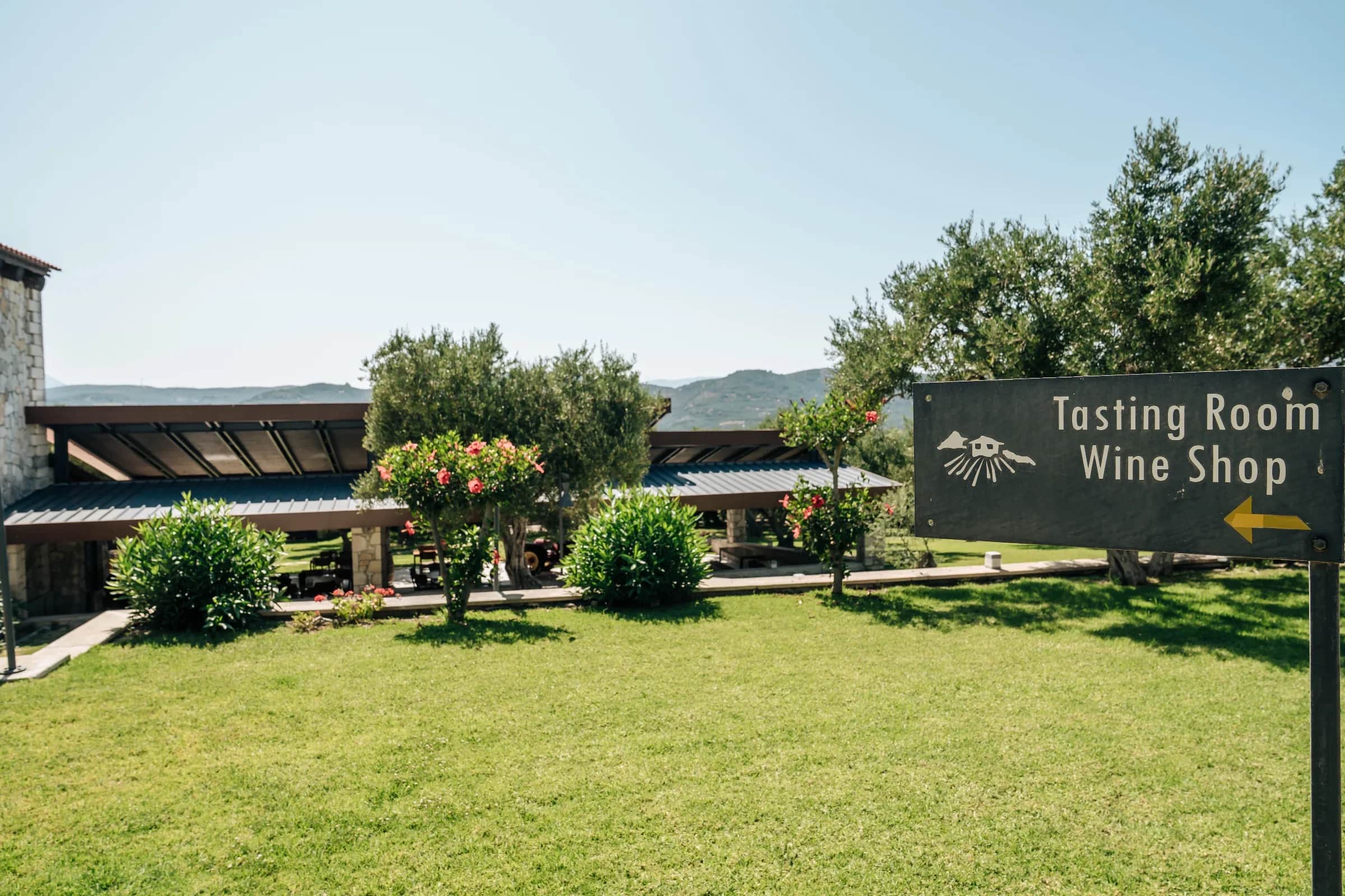 Small Premium Wine Tasting in Kolymvari, Chania