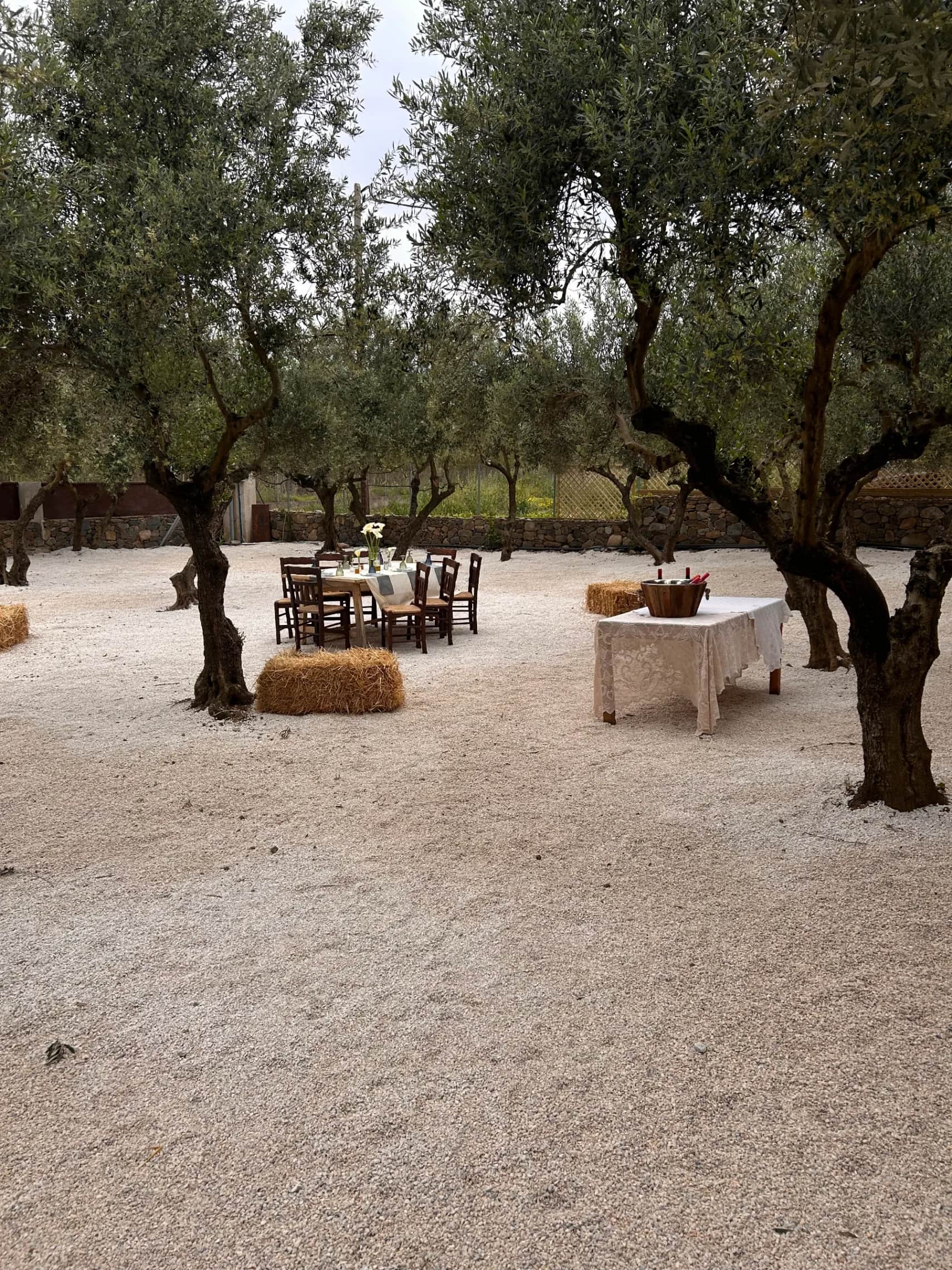 Water Mill Cultural Tour & Tasting of local flavors in Chania, Crete